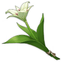 Cécilia (1★)