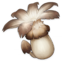 Champignon anémophile (1★)