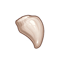 Croc juvénile (1★)