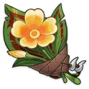Fleur épanouie d’un nomade (4★)