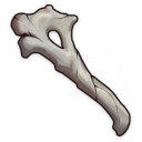 Fragment d'os fragile (2★)