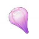Fruit d’Amakumo (1★)