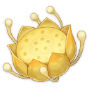 Nilotpalotus (1★)