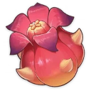 Quandong (1★)